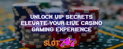 Unlock VIP Secrets: Elevate Your Live Casino Gaming Experience